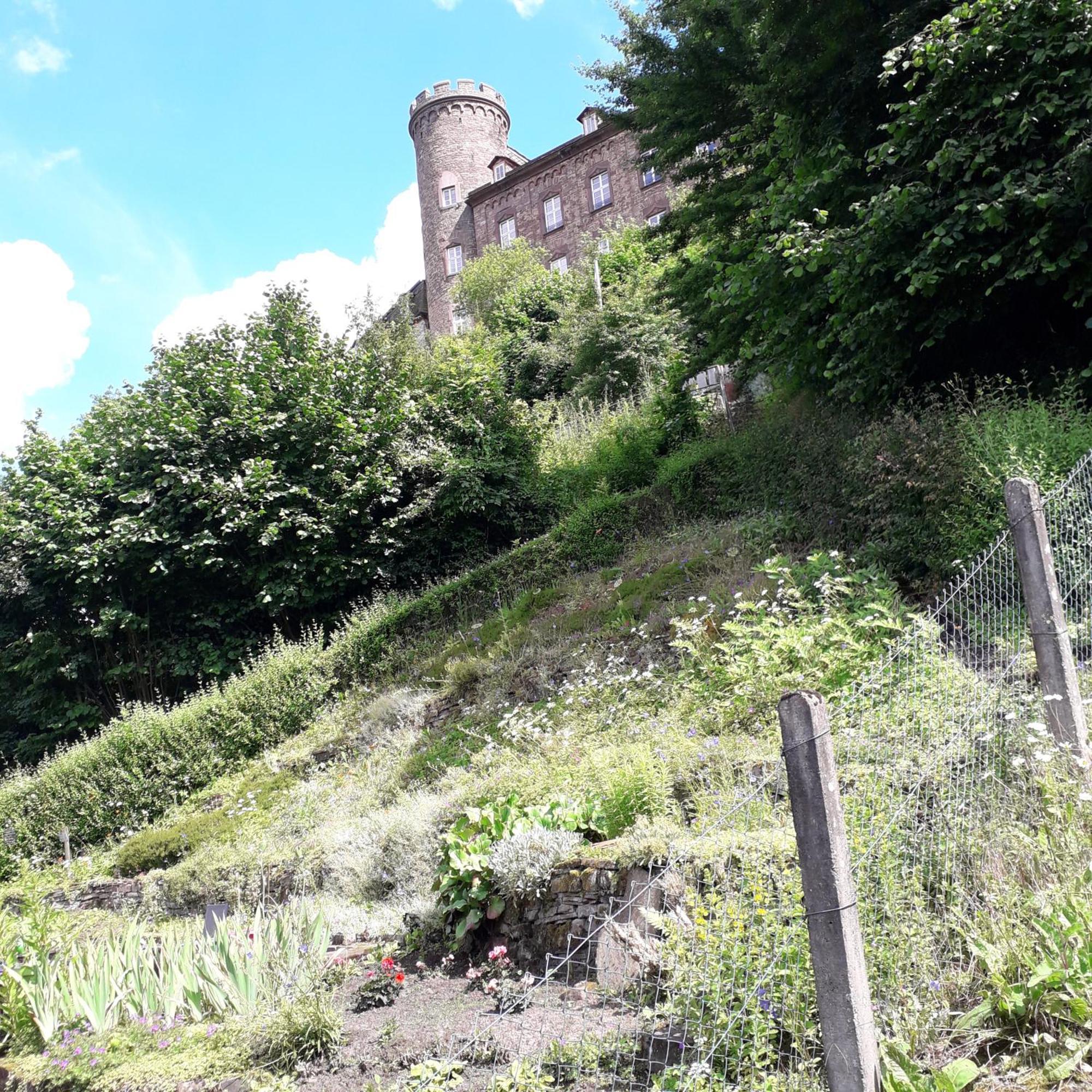 Geraeumiges Ferienhaus Beverungen Zewnętrze zdjęcie